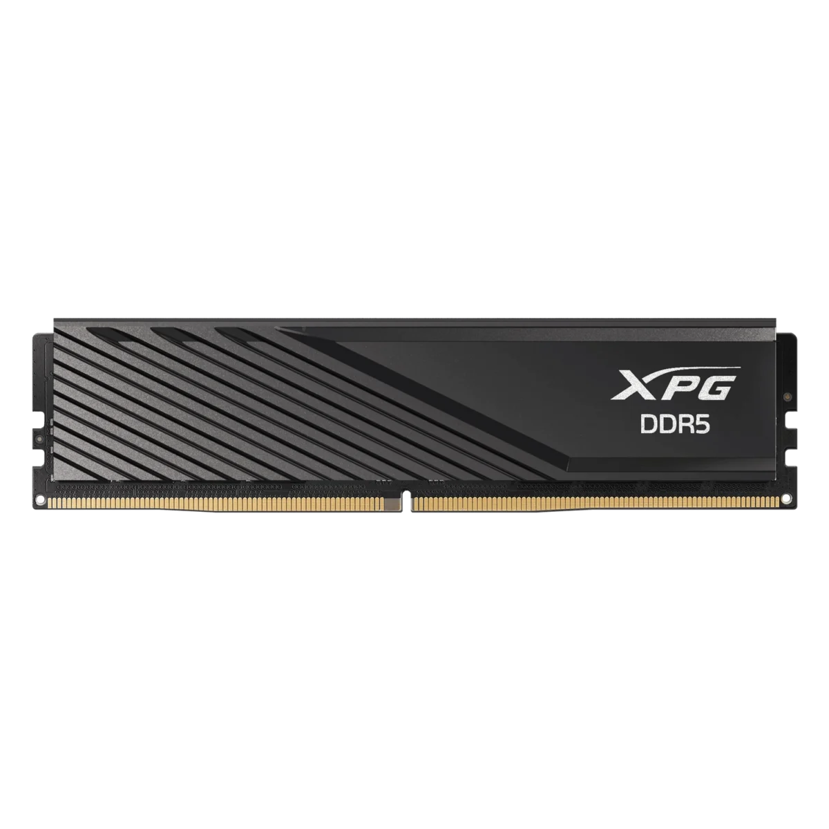 Memoria Ram UDIMM ADATA XPG 16GB DDR5 5600 BLACK