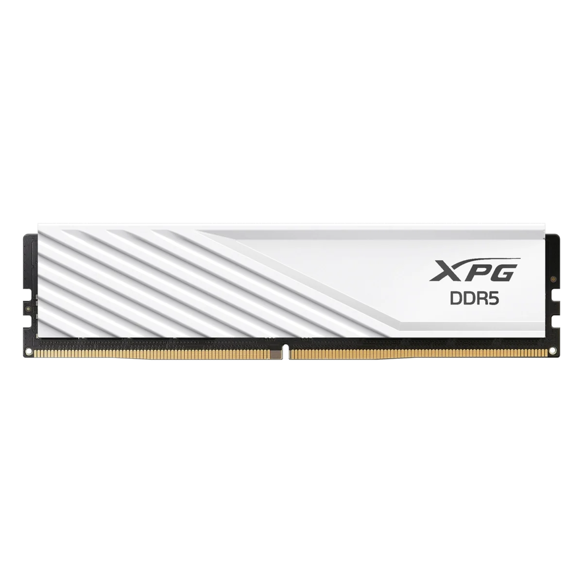 Memoria Ram UDIMM ADATA XPG 16GB DDR5 5600 WHITE